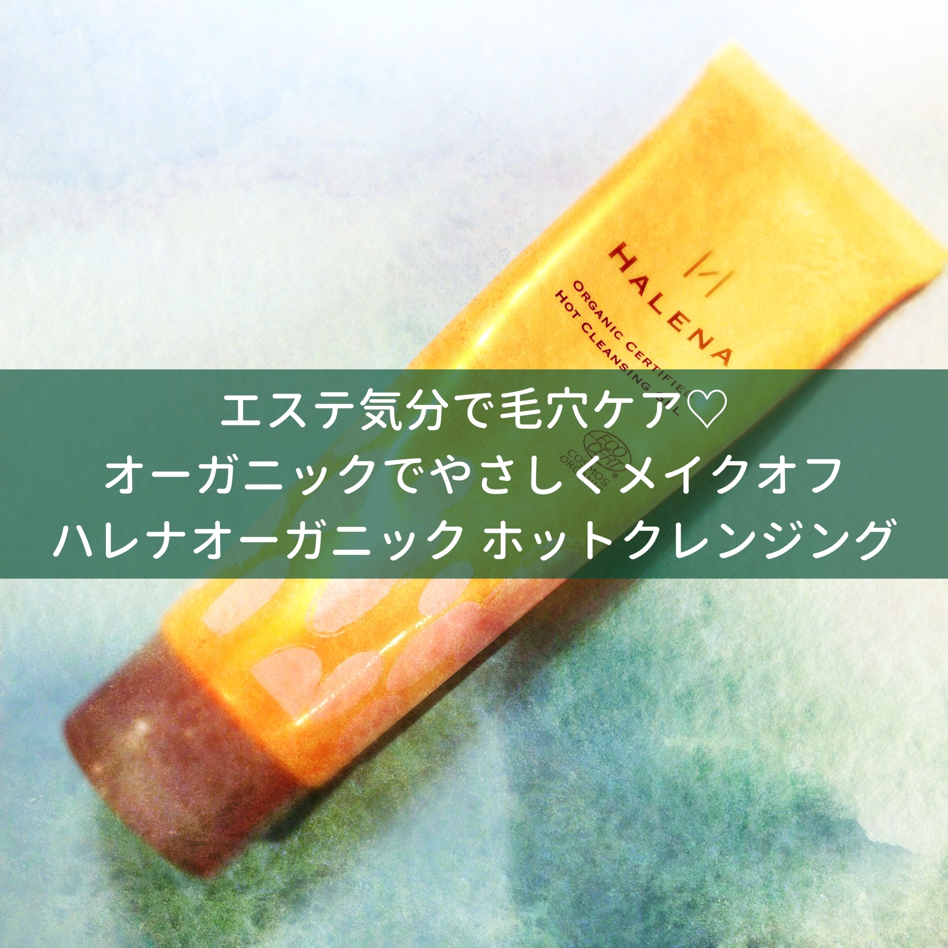 毛穴に悩んでる人必見 ハレナオーガニックのホットクレンジングが推せる Okouのコスメと向き合うブログ